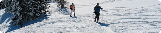 Skitourengeher im Schnee